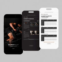 Burnt Cut | 8 Week Men's Gym Program
